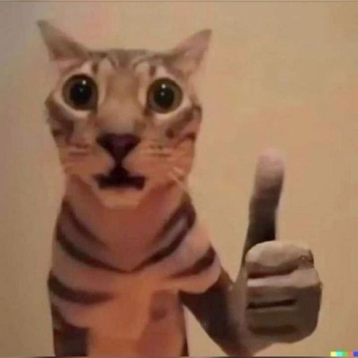 cat like