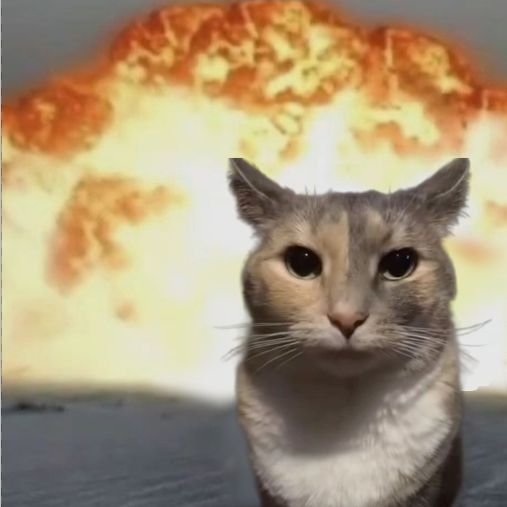 котик и взрыв
