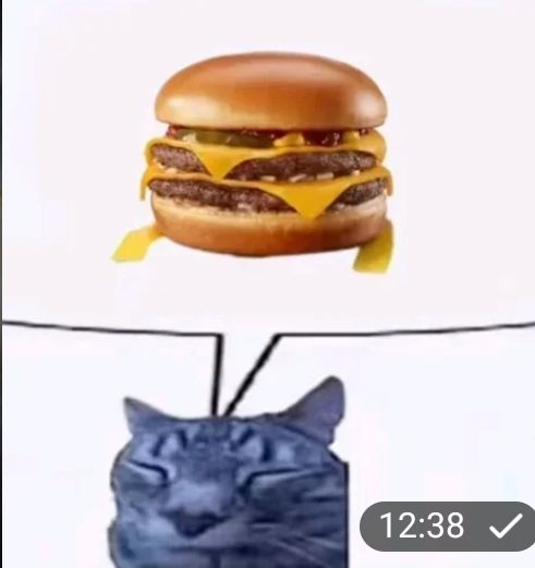 котик мечтает о бургере