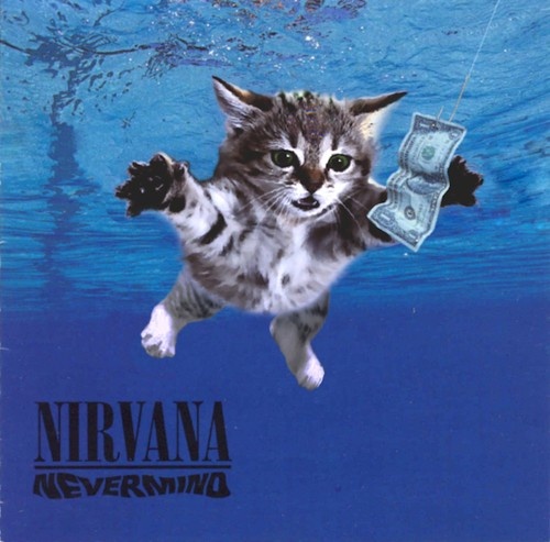 котик плывёт — Nirvana