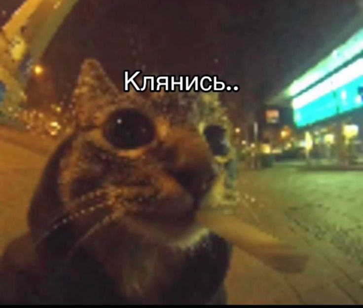 клянись