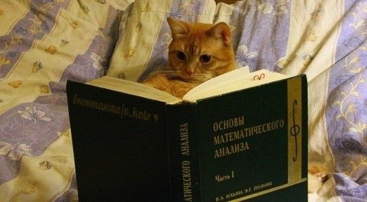 котик готовится к матанализу