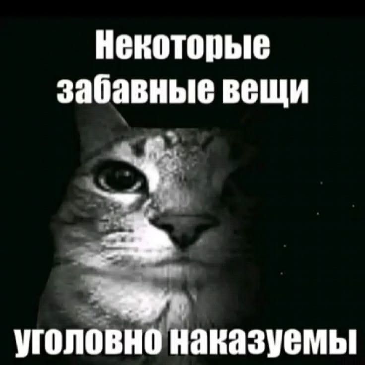 некоторые забавные вещи уголовно наказуемы