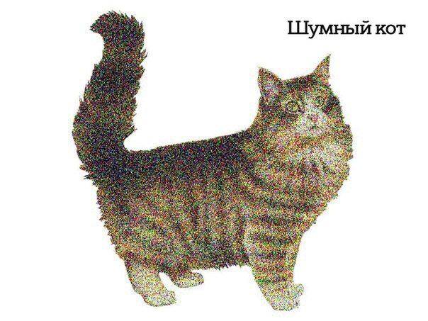 шумный кот
